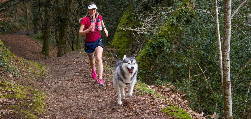 Arnés I-DOG para canicross y canitrail