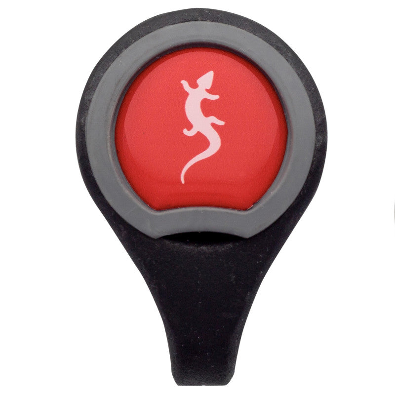 Chapa ROCO R2 + Tapeta FIXE