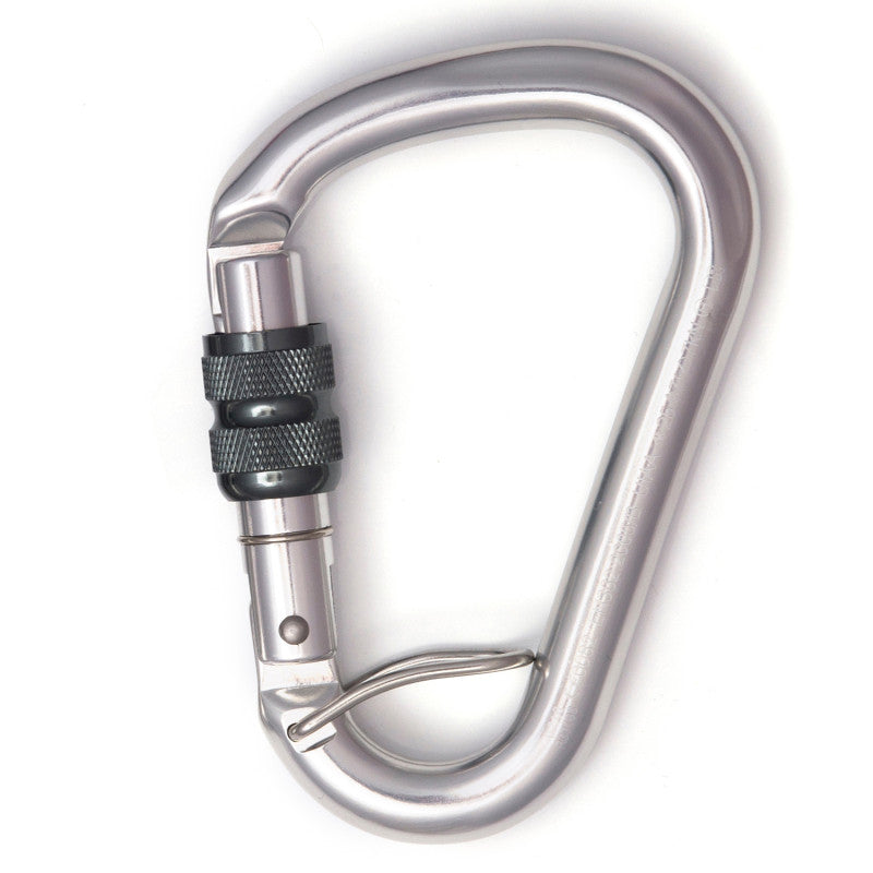 LOTUS WITH INSURANCE AND ANTIQUE