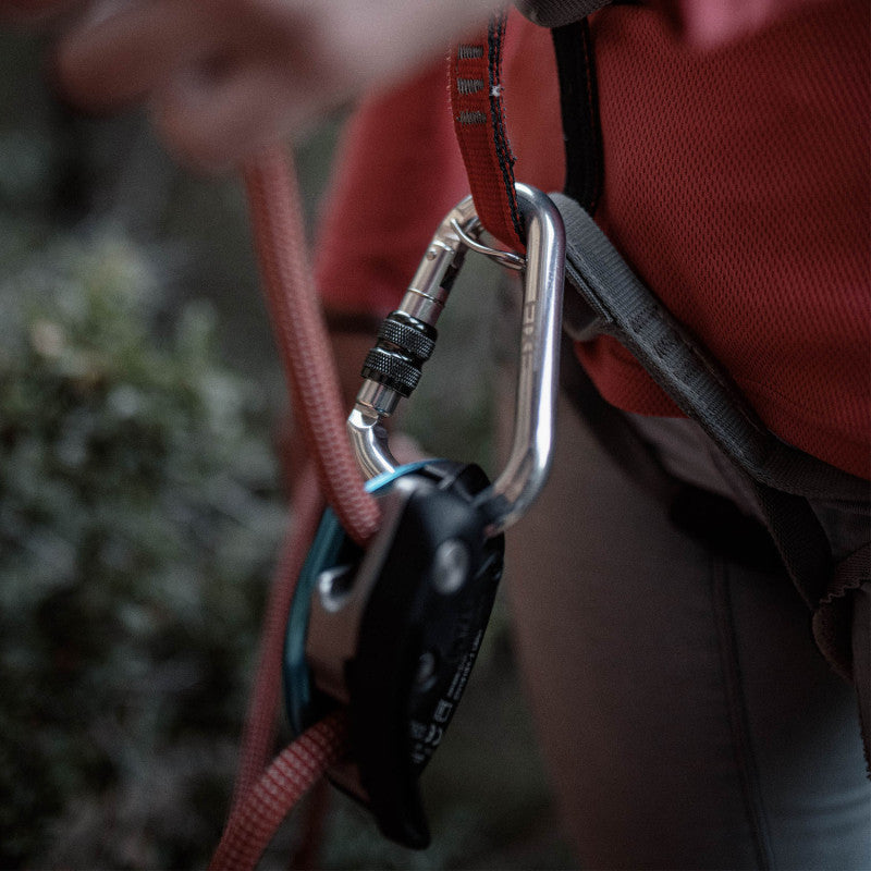 LOTUS WITH INSURANCE AND ANTIQUE