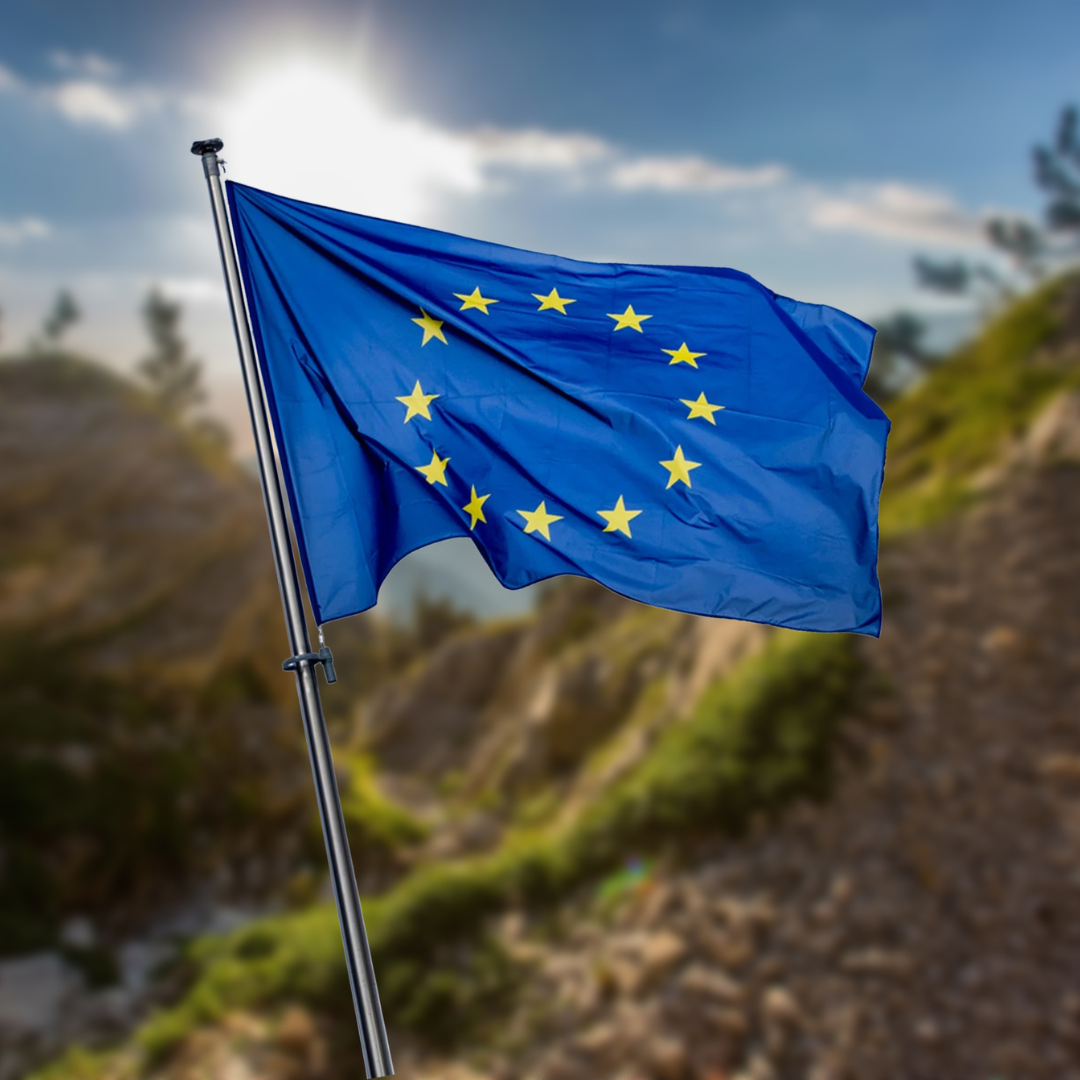 KIT DE SUPERVIVENCIA: RECOMENDACIONES DE LA EU