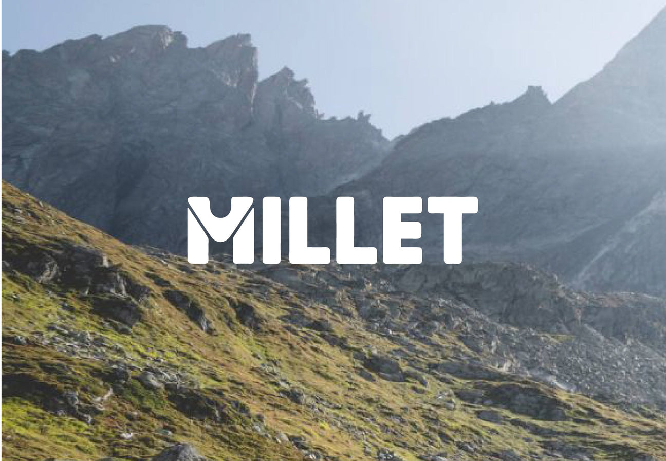 Millet