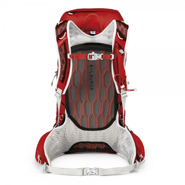TALON 33