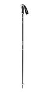 AMT SQS W POLES