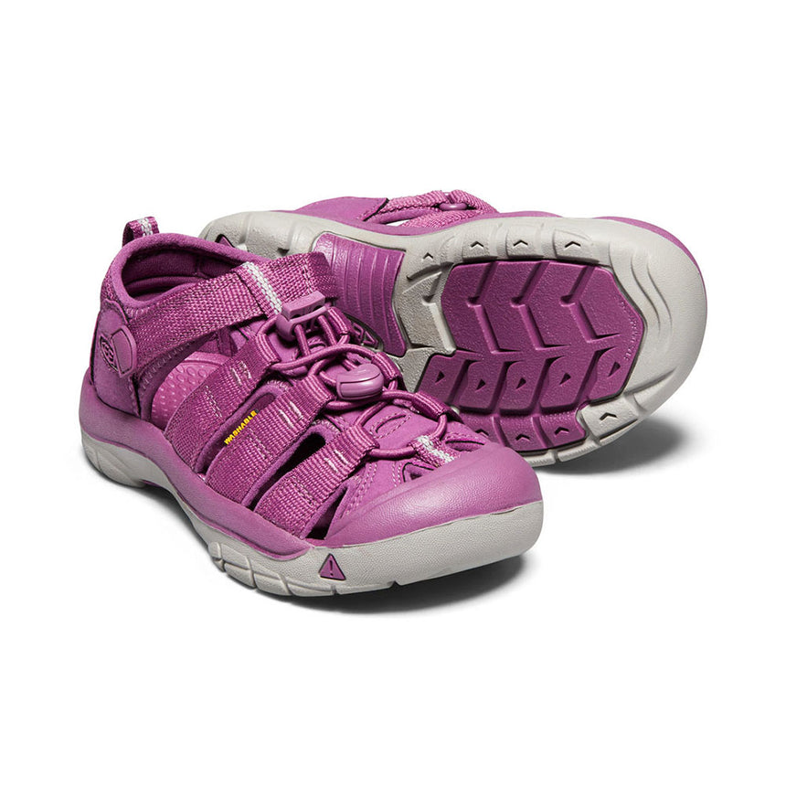 NEWPORT H2 Y GRAPE KISS