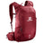 TRAILBLAZER 20 BIKING RED