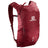 TRAILBLAZER 10 BIKING RED