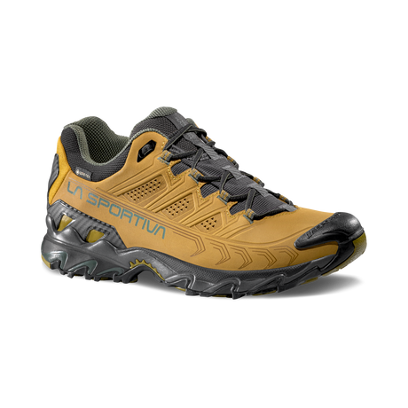 ULTRA RAPTOR II LEATHER GTX
