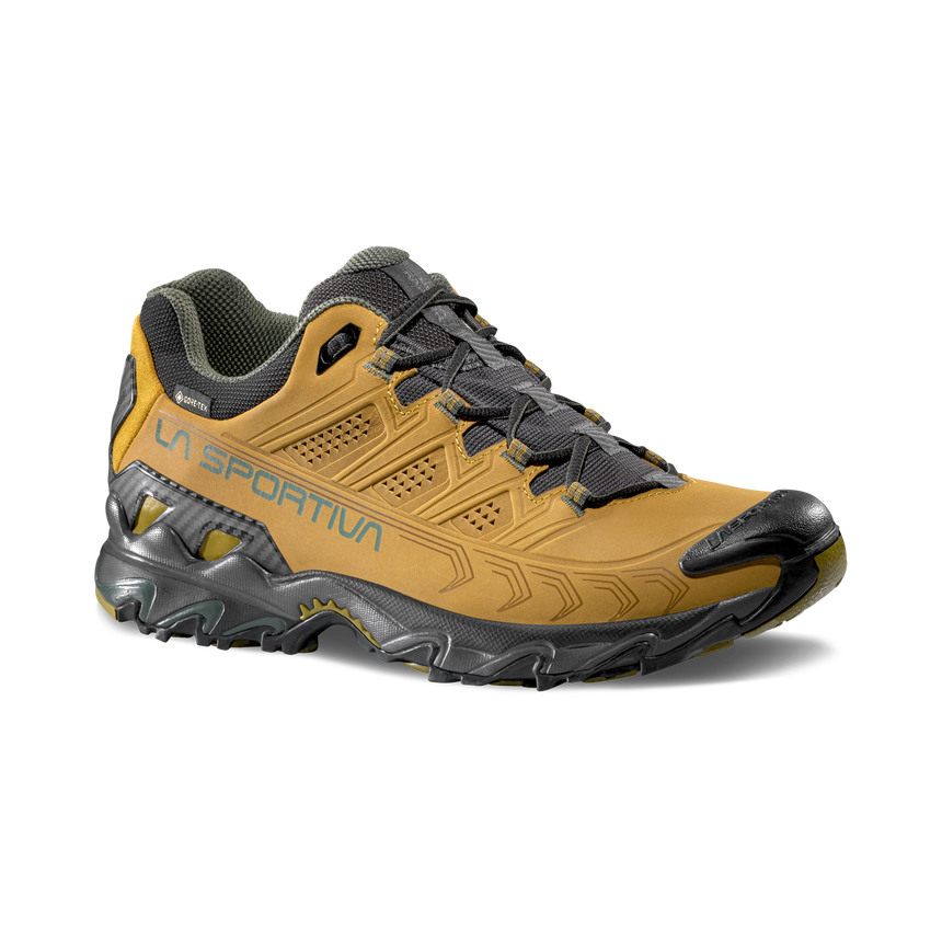 ULTRA RAPTOR II LEATHER GTX