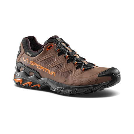 ULTRA RAPTOR II LEATHER GTX