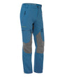 AINSA PANT
