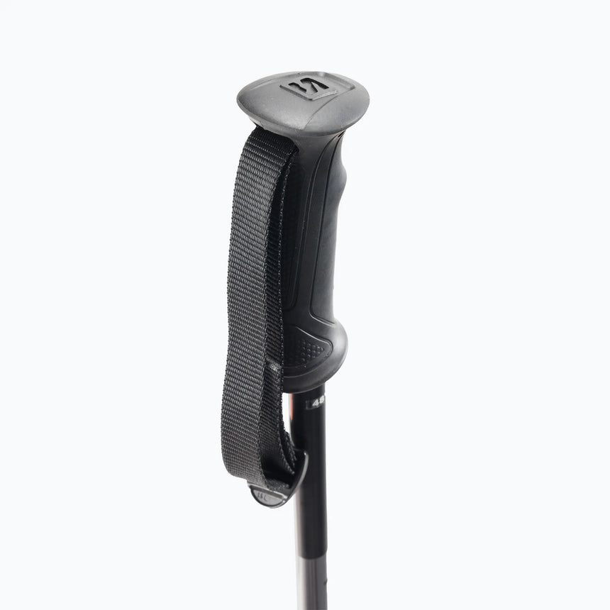 ARCTIC POLES BLACK