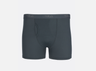 Sonic Boxers