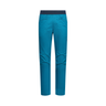 Roots Pants M ZACP069