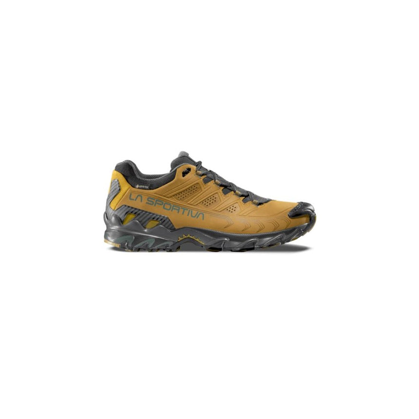 Ultra Raptor II Leather GTX ZFHS129