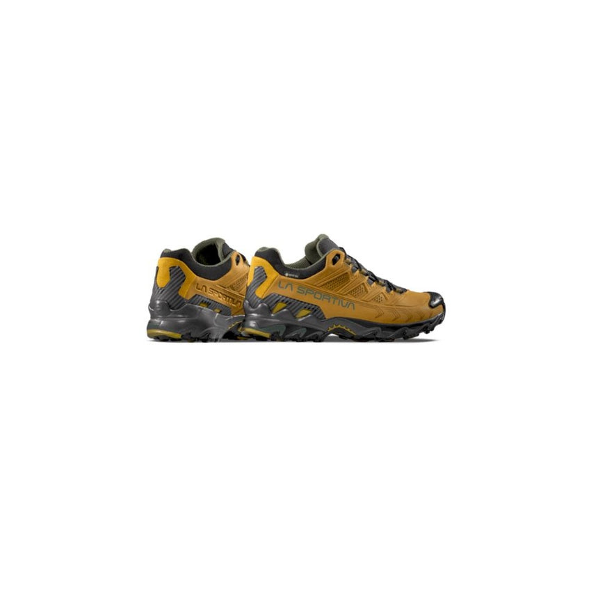 Ultra Raptor II Leather GTX ZFHS129