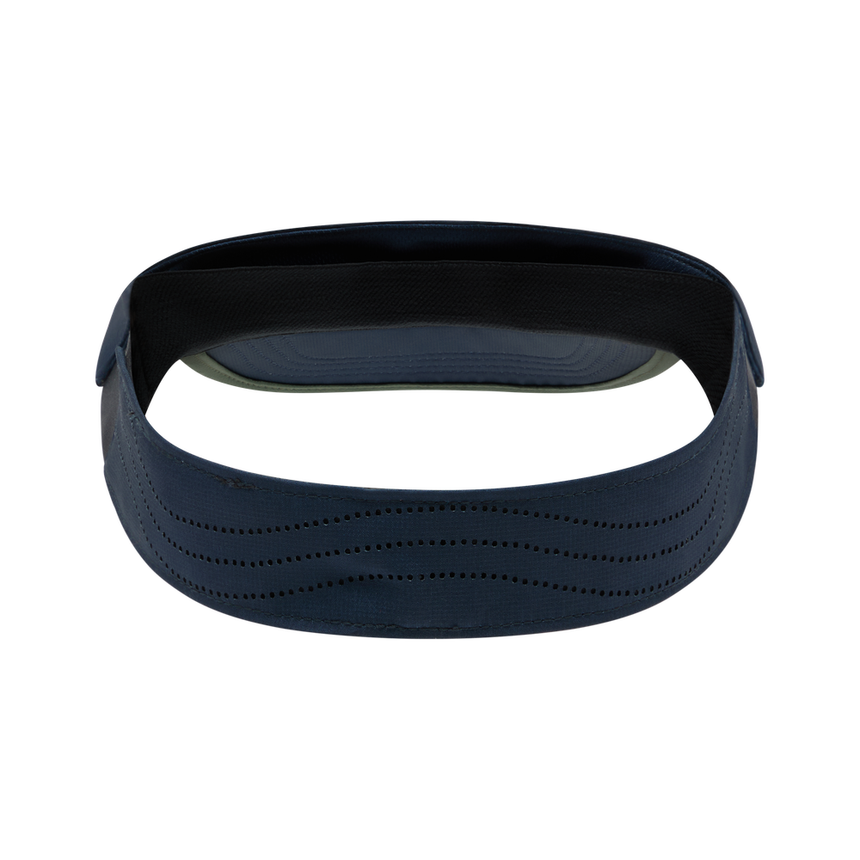 Skyline Visor ZZRH040