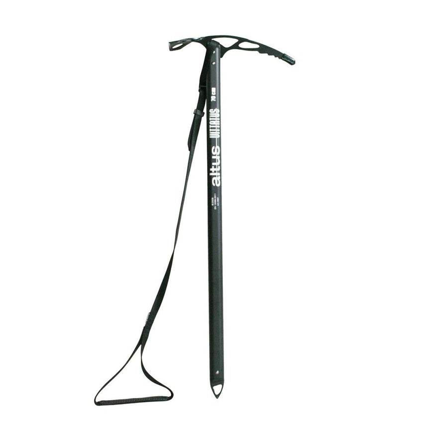 PIOLET VITTATUS 70