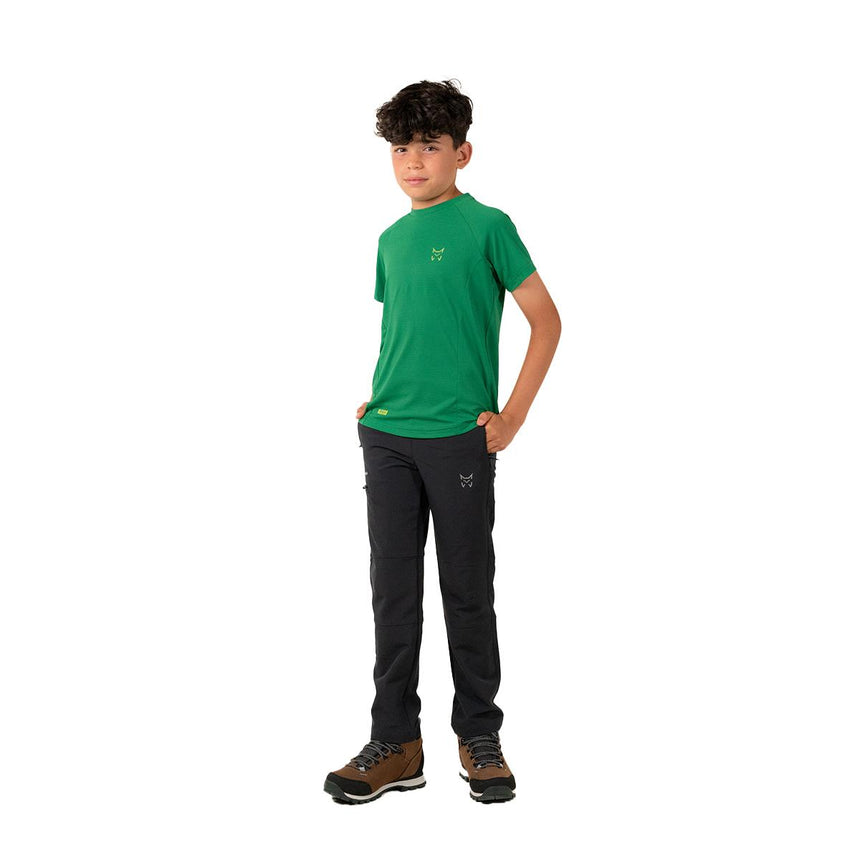 ARA