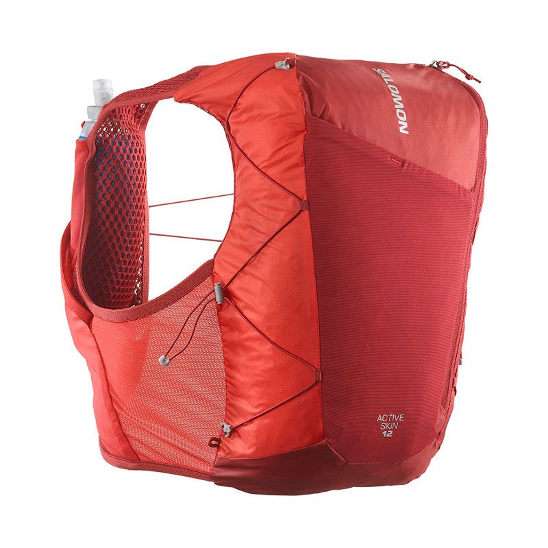 ACTIVE SKIN 12 SET RED DAHLIA/HIGH RISK