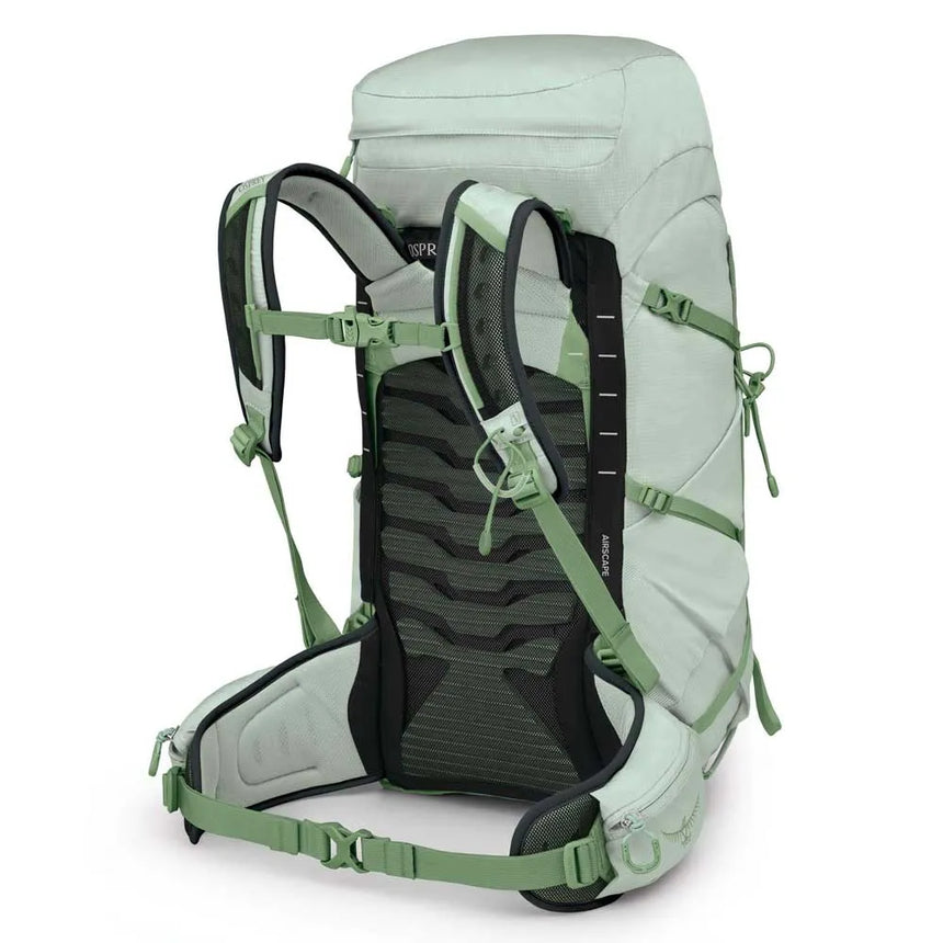 Tempest 33 Frosty Mint Green Botànica US
