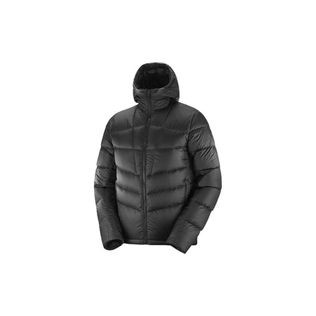 TRANSITION DOWN HOODIE M